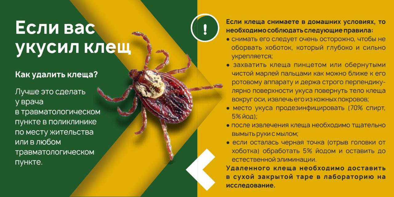 /DocLib8/835(1).jpg