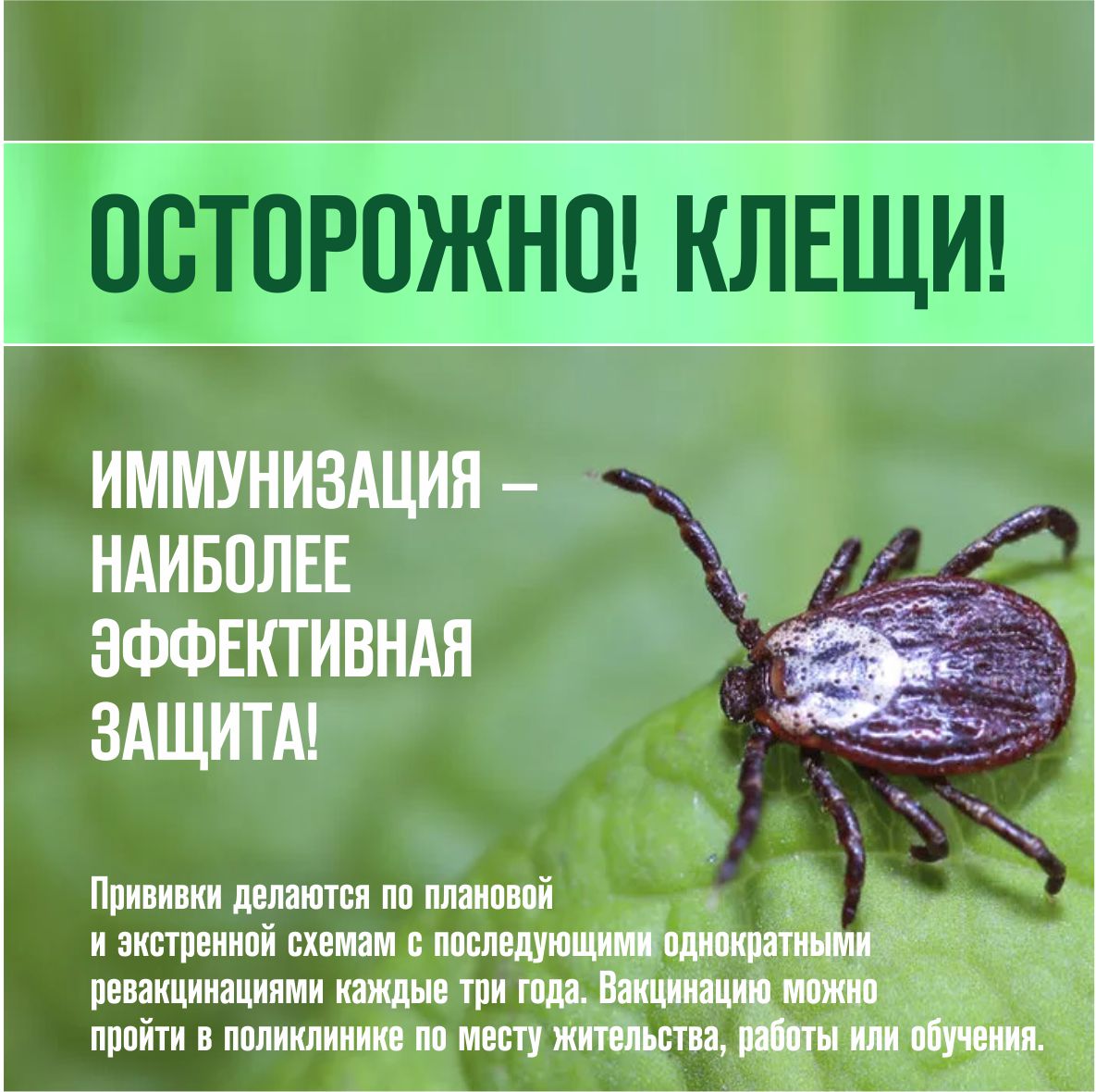 /SiteKCSON/dzKCSON/DocLib8/1309.jpg
