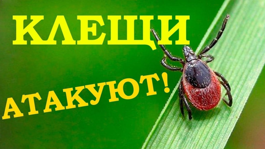 /SiteKCSON/dzKCSON/DocLib8/865.jpg
