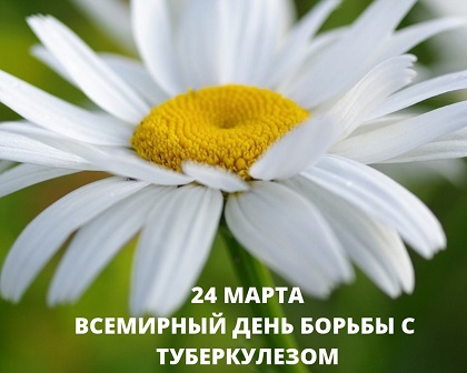 http://social.admnsk.ru/SiteKCSON/jelKCSON/DocLib7/2194.jpg