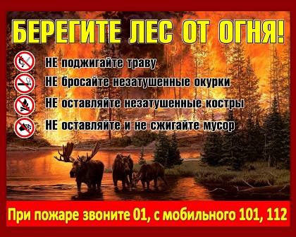 http://social.admnsk.ru/SiteKCSON/jelKCSON/DocLib7/2245(1).jpg