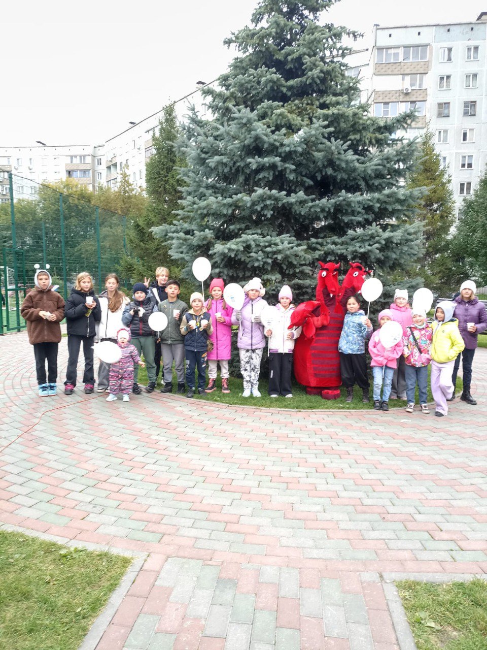 http://social.admnsk.ru/SiteKCSON/jelKCSON/DocLib7/5735.jpg