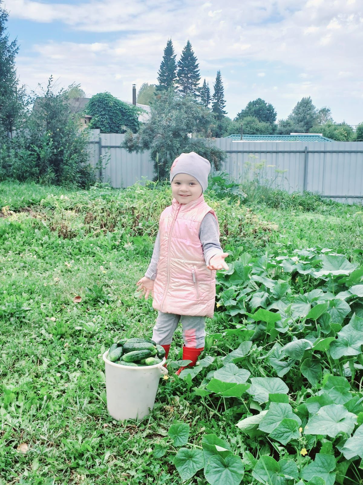 http://social.admnsk.ru/SiteKCSON/jelKCSON/DocLib7/5767.jpg