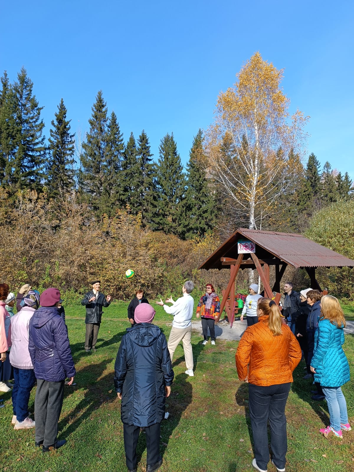 http://social.admnsk.ru/SiteKCSON/jelKCSON/DocLib7/5806.jpg