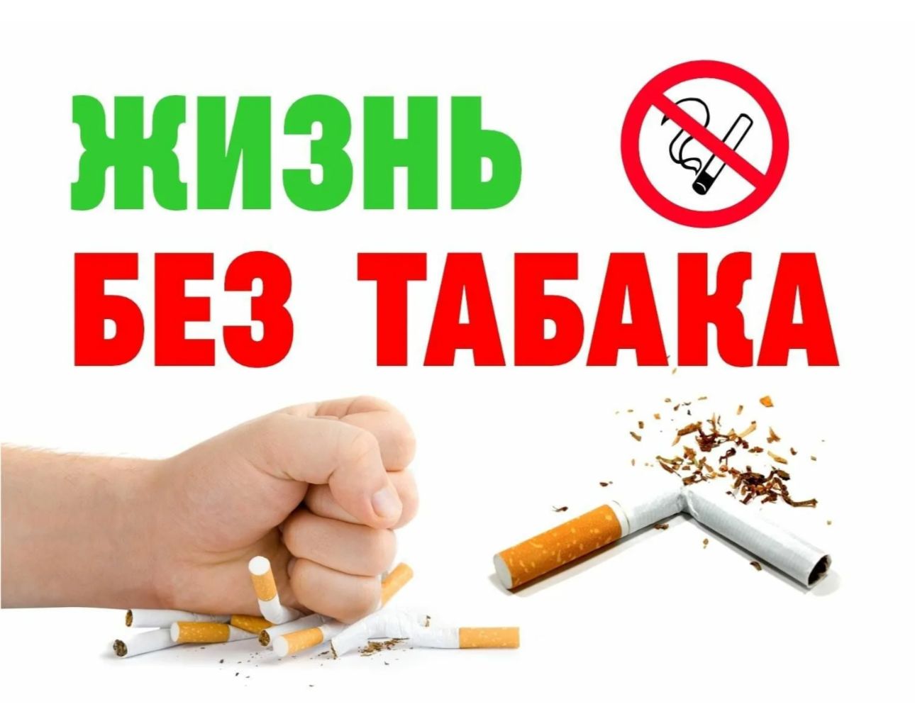 http://social.admnsk.ru/SiteKCSON/jelKCSON/DocLib7/6158.jpg