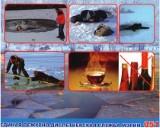 http://social.admnsk.ru/SiteKCSON/jelKCSON/DocLib7/1460.jpg
