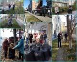 http://social.admnsk.ru/SiteKCSON/jelKCSON/DocLib7/1645.jpg
