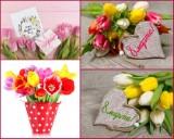 http://social.admnsk.ru/SiteKCSON/jelKCSON/DocLib7/1759.jpg