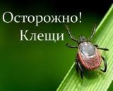 http://social.admnsk.ru/SiteKCSON/jelKCSON/DocLib7/2248.jpg