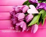 http://social.admnsk.ru/SiteKCSON/jelKCSON/DocLib7/2272.jpg