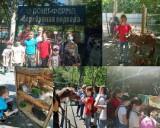 http://social.admnsk.ru/SiteKCSON/jelKCSON/DocLib7/2788.jpg