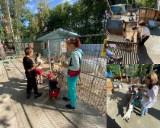 http://social.admnsk.ru/SiteKCSON/jelKCSON/DocLib7/2926.jpg
