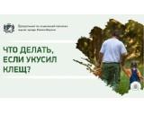 http://social.admnsk.ru/SiteKCSON/jelKCSON/DocLib7/3393.jpg