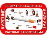 http://social.admnsk.ru/SiteKCSON/jelKCSON/DocLib7/3450.jpg