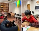 http://social.admnsk.ru/SiteKCSON/jelKCSON/DocLib7/3839.jpg