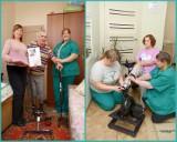 http://social.admnsk.ru/SiteKCSON/jelKCSON/DocLib7/3984.jpg