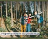 http://social.admnsk.ru/SiteKCSON/jelKCSON/DocLib7/4276.jpg