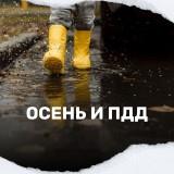 http://social.admnsk.ru/SiteKCSON/jelKCSON/DocLib7/4755.png