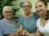 http://social.admnsk.ru/SiteKCSON/jelKCSON/DocLib7/5459.jpg