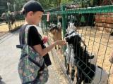 http://social.admnsk.ru/SiteKCSON/jelKCSON/DocLib7/5492.jpg