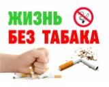 http://social.admnsk.ru/SiteKCSON/jelKCSON/DocLib7/6158.jpg