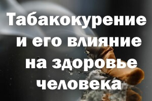 http://social.admnsk.ru/SiteKCSON/kirKCSON/DocLib7/1134.jpg
