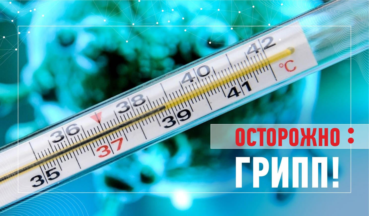 http://social.admnsk.ru/SiteKCSON/kirKCSON/DocLib7/1644.jpg