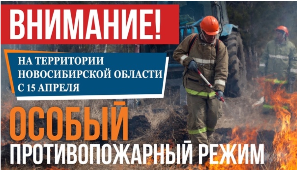 http://social.admnsk.ru/SiteKCSON/kirKCSON/DocLib7/1863.jpg