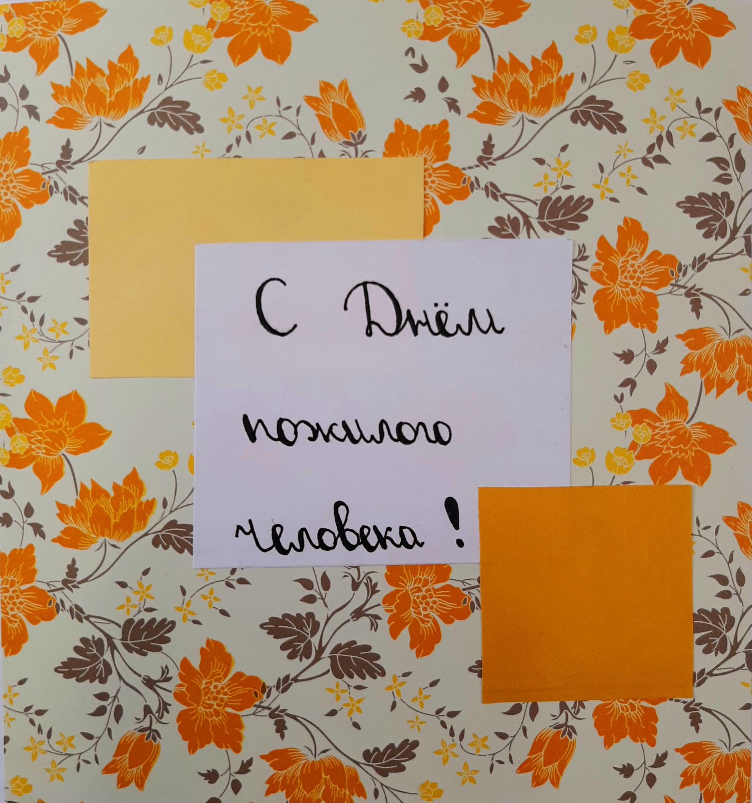 http://social.admnsk.ru/SiteKCSON/kirKCSON/DocLib7/2721.jpg
