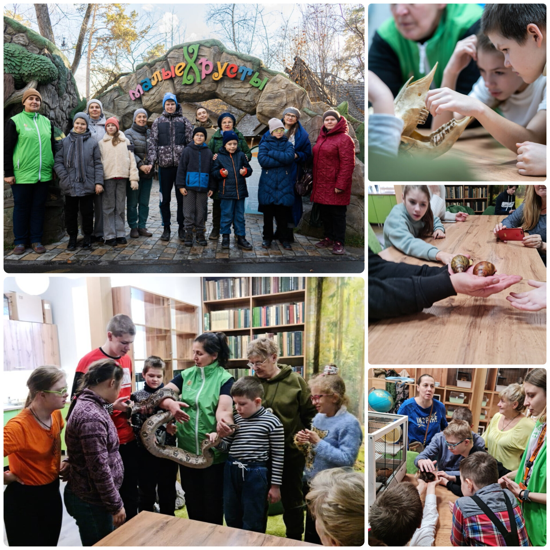 http://social.admnsk.ru/SiteKCSON/kirKCSON/DocLib7/2776.jpg