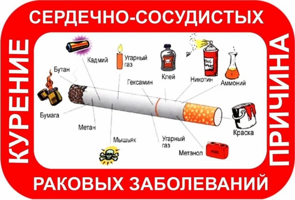 http://social.admnsk.ru/SiteKCSON/kirKCSON/DocLib7/2898.jpg