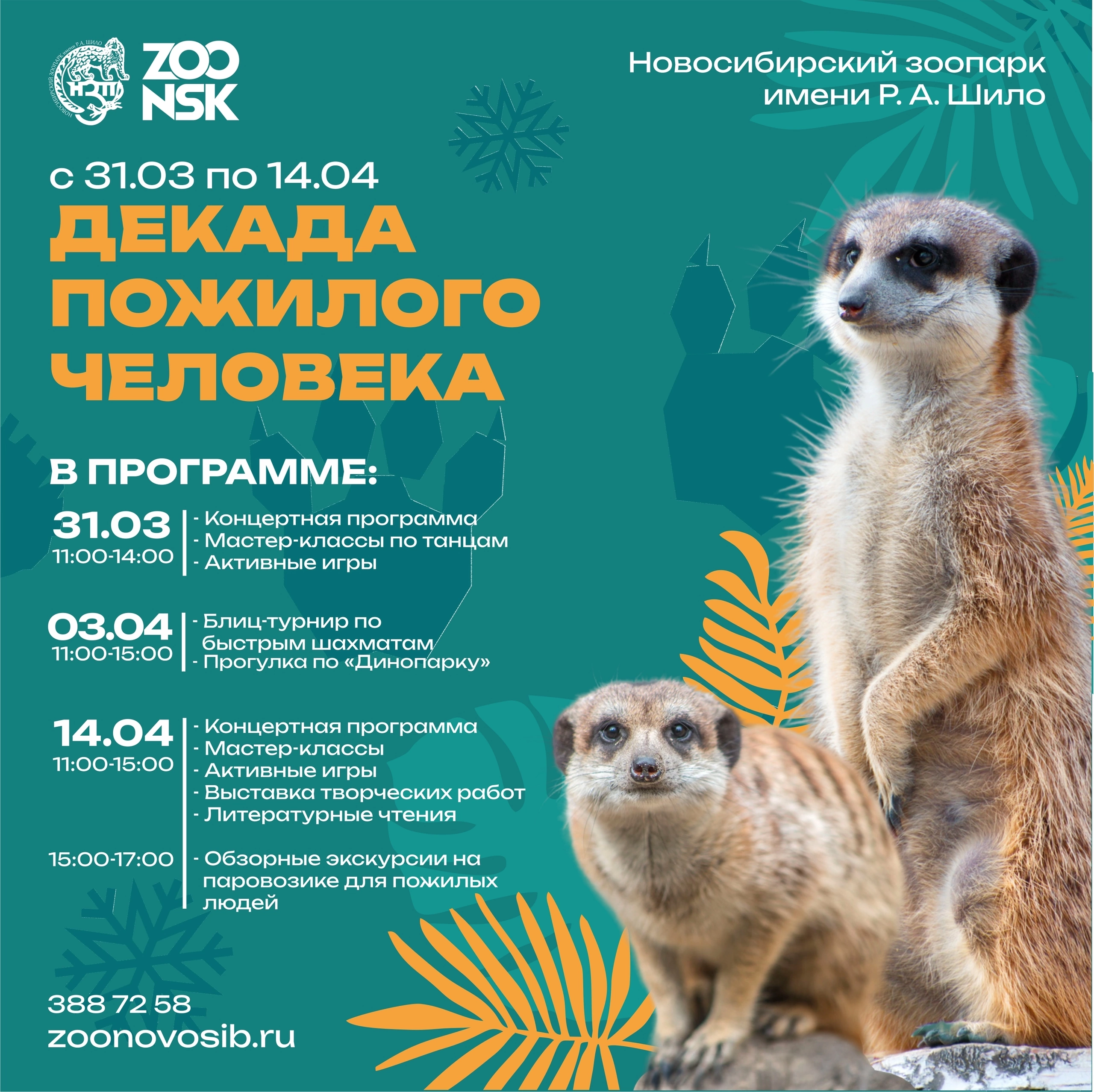 http://social.admnsk.ru/SiteKCSON/kirKCSON/DocLib7/2924.jpg