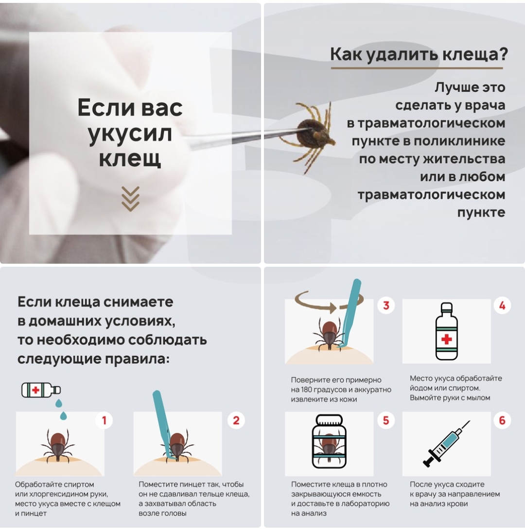 http://social.admnsk.ru/SiteKCSON/kirKCSON/DocLib7/2929.jpg