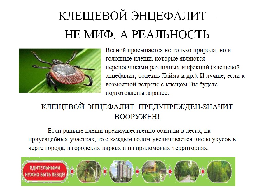 http://social.admnsk.ru/SiteKCSON/kirKCSON/DocLib7/864(1).jpg
