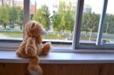 http://social.admnsk.ru/SiteKCSON/kirKCSON/DocLib7/1294.jpg
