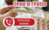 http://social.admnsk.ru/SiteKCSON/kirKCSON/DocLib7/1306.jpg