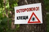 http://social.admnsk.ru/SiteKCSON/kirKCSON/DocLib7/1529.jpg