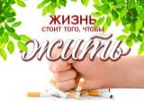 http://social.admnsk.ru/SiteKCSON/kirKCSON/DocLib7/1797.jpg