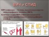 http://social.admnsk.ru/SiteKCSON/kirKCSON/DocLib7/2036.jpg