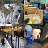 http://social.admnsk.ru/SiteKCSON/kirKCSON/DocLib7/2058.jpg
