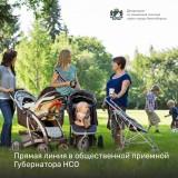 http://social.admnsk.ru/SiteKCSON/kirKCSON/DocLib7/2574.jpg