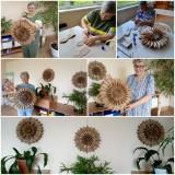 http://social.admnsk.ru/SiteKCSON/kirKCSON/DocLib7/2577.jpg