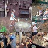 http://social.admnsk.ru/SiteKCSON/kirKCSON/DocLib7/2646.jpg