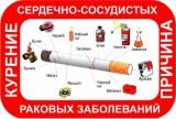 http://social.admnsk.ru/SiteKCSON/kirKCSON/DocLib7/2898.jpg