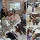 http://social.admnsk.ru/SiteKCSON/kirKCSON/DocLib7/2903.jpg