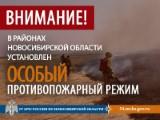 http://social.admnsk.ru/SiteKCSON/kirKCSON/DocLib7/2941.jpg