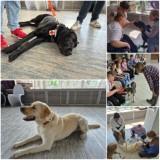 http://social.admnsk.ru/SiteKCSON/kirKCSON/DocLib7/3004.jpg