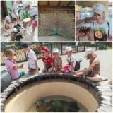 http://social.admnsk.ru/SiteKCSON/kirKCSON/DocLib7/3037.jpg