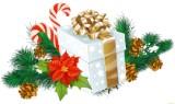 http://social.admnsk.ru/SiteKCSON/kirKCSON/DocLib7/4411.jpg