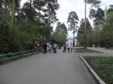 http://social.admnsk.ru/SiteKCSON/kirKCSON/DocLib7/703.JPG